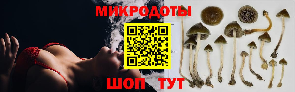 Галлюциногенные грибы Psilocybine cubensis  Вход с VPN  Орехово-Зуево 