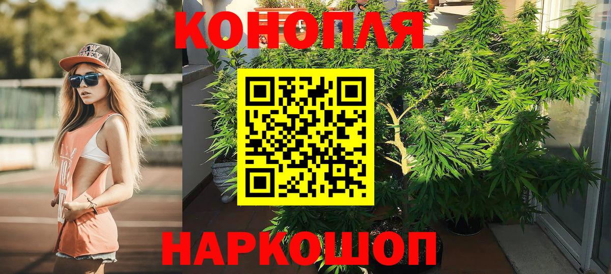 Шишки марихуана OG Kush Орехово-Зуево